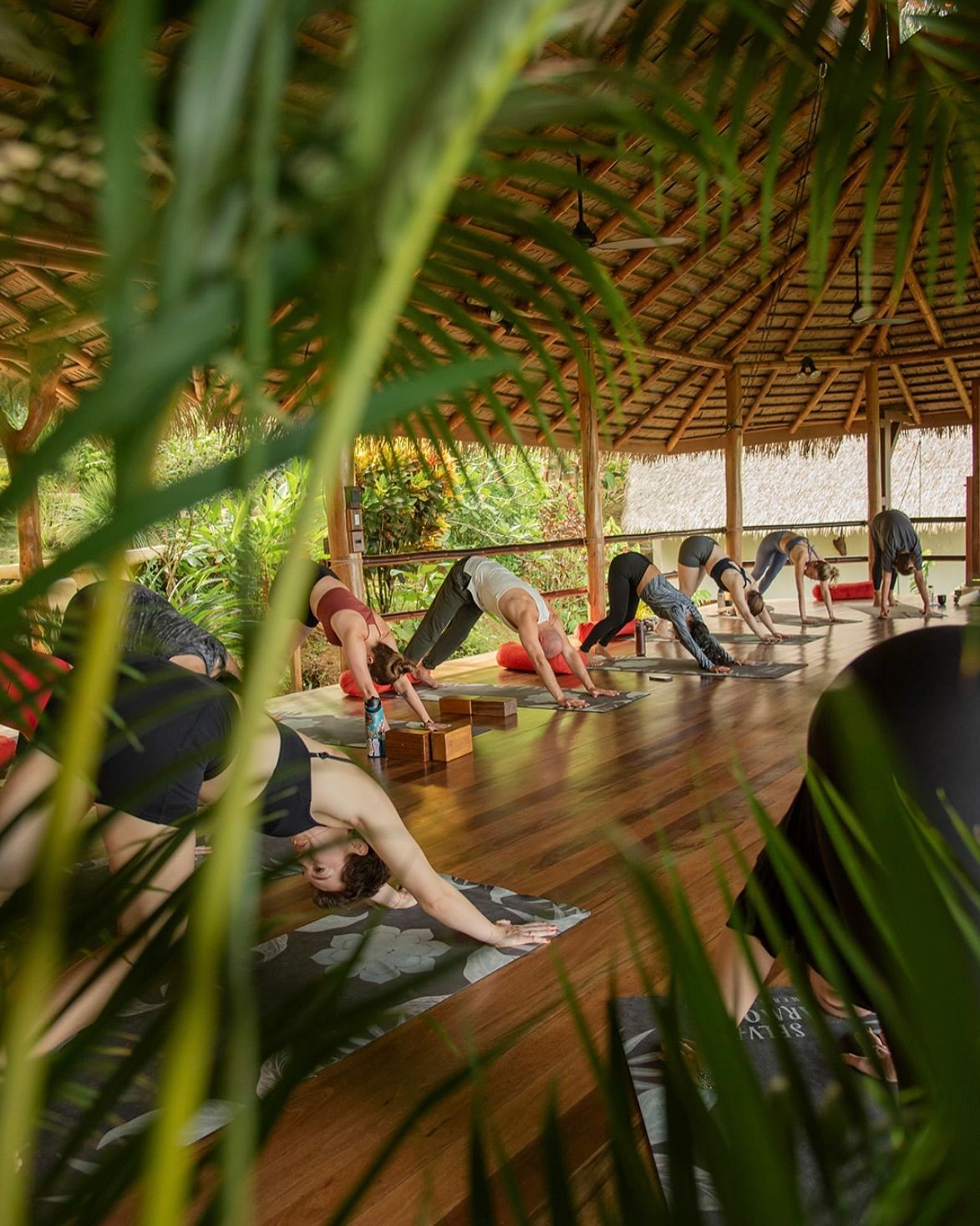 Small walking group pausing near a marked crosswalk